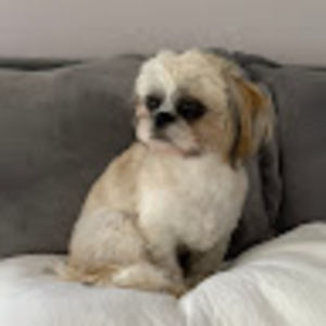 Meet your Posher, Teri